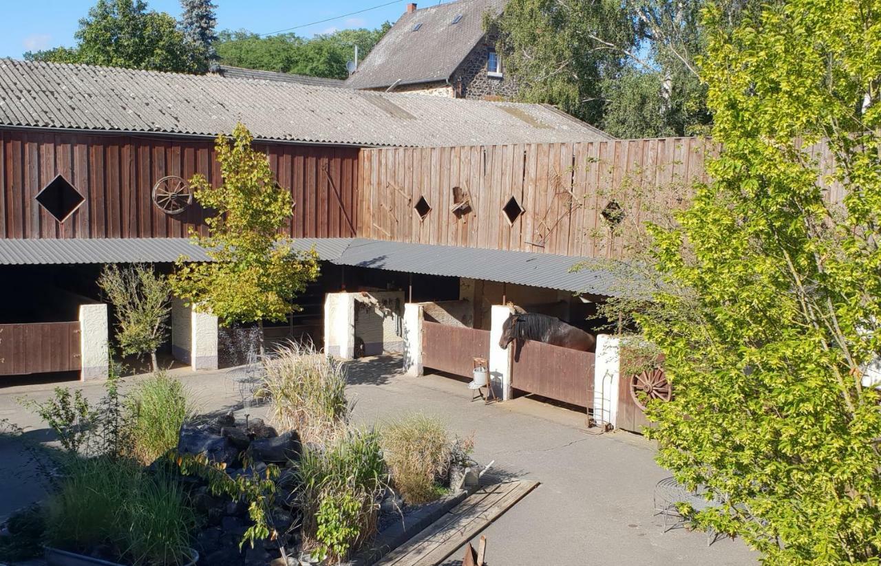 Traumwohnung Jolly Jumper Auf Idyllischem Reiterhof Naehe Burg Eltz Münstermaifeld エクステリア 写真